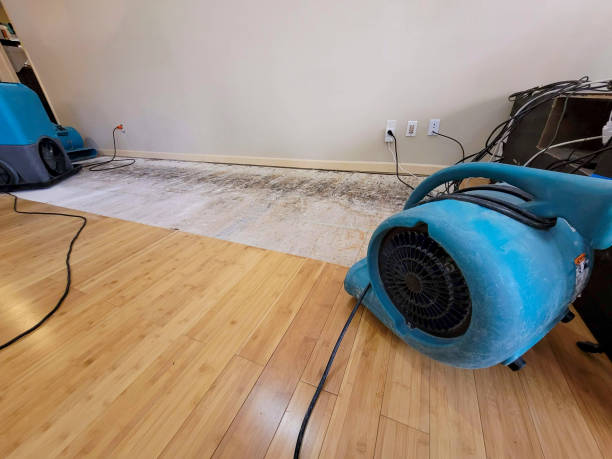 Reliable Basement Flood Cleanup contractor in Sidney, IL by Hirex Water Damage