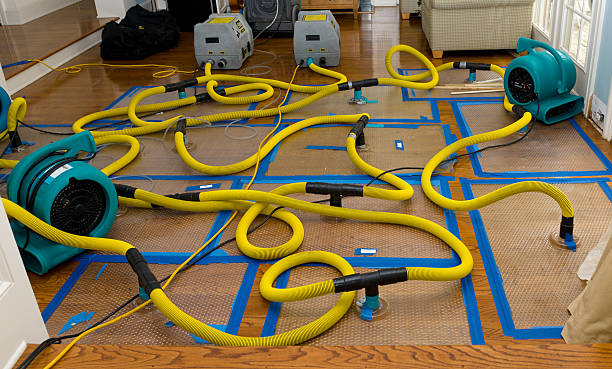 Professional Basement Flood Cleanup technician working in Sidney, IL