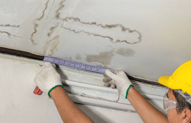 Affordable Water Damage Repair solutions in Sidney, IL